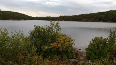 Dogtouth lake